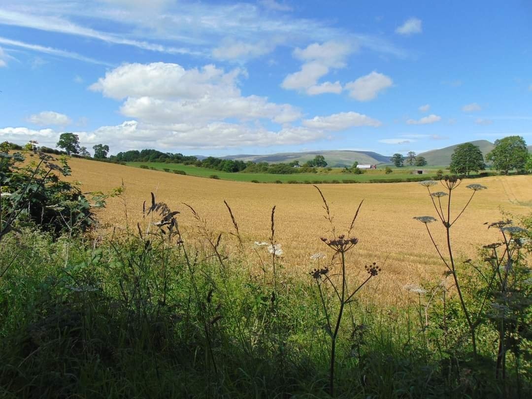 view of fields across Eden